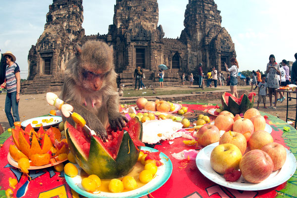 Monkey Buffet Festival - Urlaub in Thailand erleben
