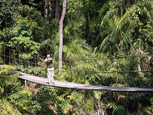 Trekking-Touren im Khao Yai Nationalpark