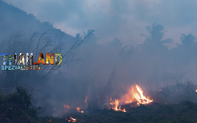 Waldbrand in Thailand