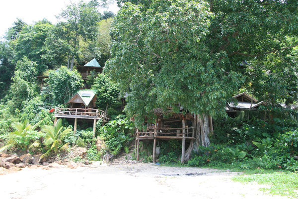 Natürliche Bungalows mitten am Strand