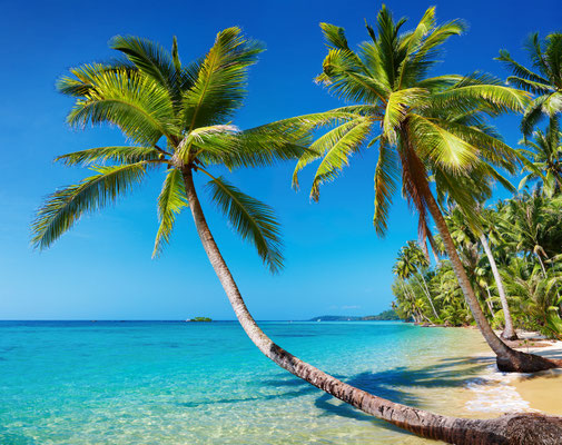 Koh Chang Palmen und Strand
