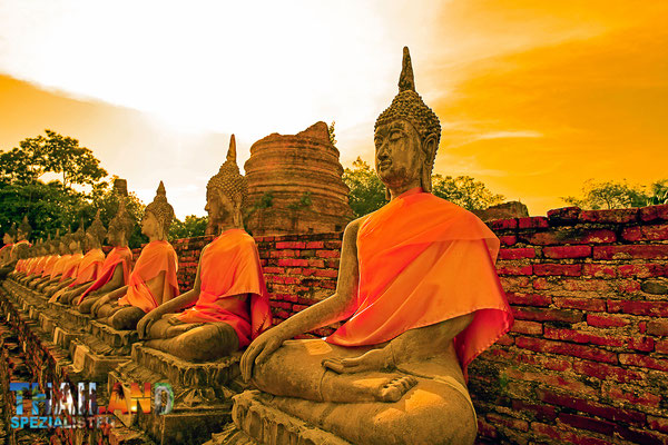 Buddha-Statuen in Ayutthaya - wo auch unser Reisebüro der Thailand-Spezialisten Ihren Haupt-Firmensitz hat