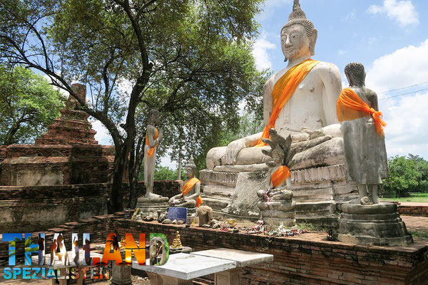 Buddhastatue in Ayutthaya