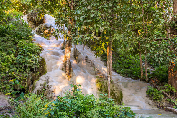 Namtok Bua Tong Sticky waterfall
