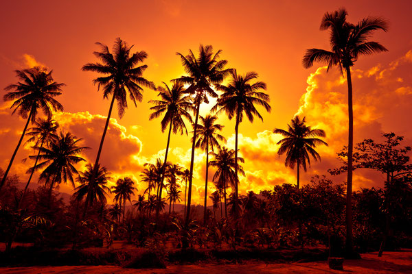 Sonnenuntergang auf der Insel