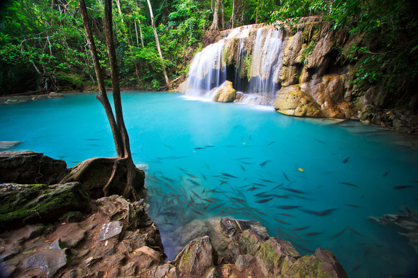 Wasserfall im Mangrovenwald Krabis