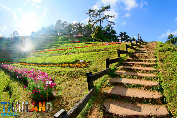 Blumen-Wanderweg im Huai Nam Dang Nationalpark