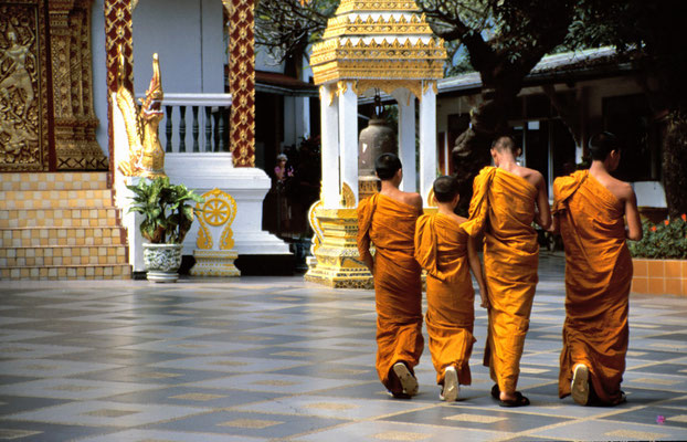 Mönche am Doi Suthep Tempel