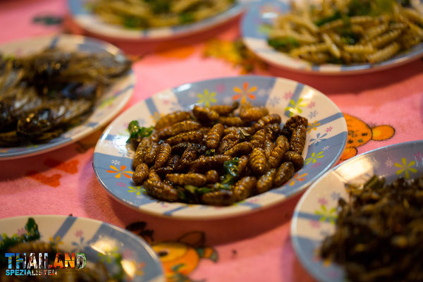 Insekten essen in Thailand