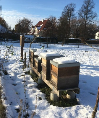 2016: im November der erste Winter-Schnee