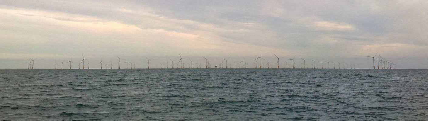 champ d'éoliennes en Mer du Nord