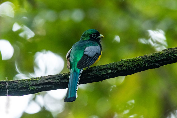 Manuel Antonio NP