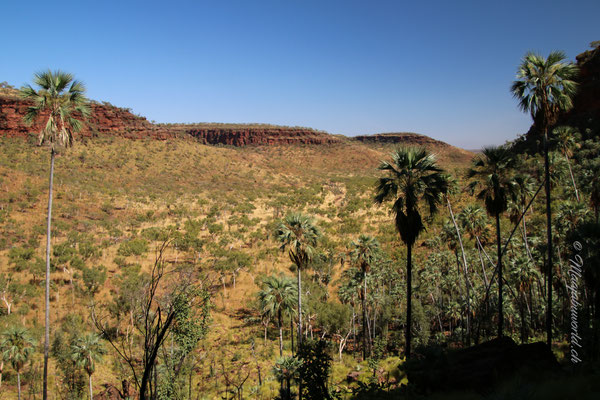 Hike to recover from driving