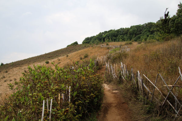 Kurz-Trekking in Doi Inthanon