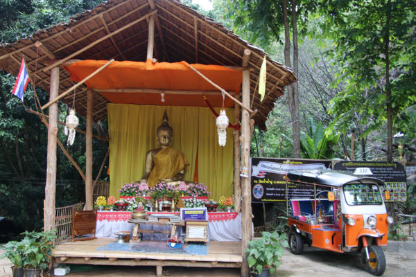 Besuch eines Wald-Tempels / Visiting a forest temple