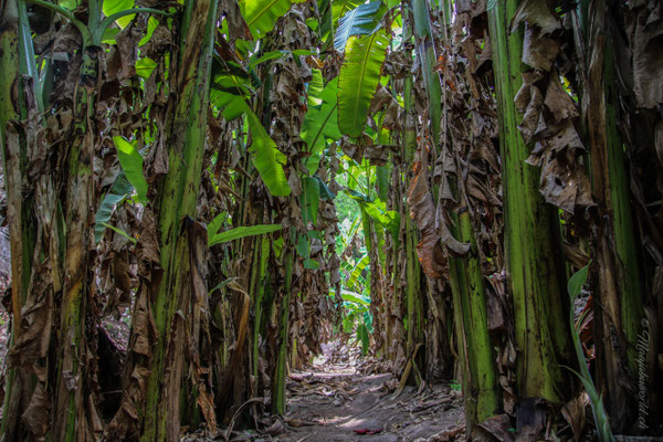 Rundweg durch den Garten des sympathischen Bauern