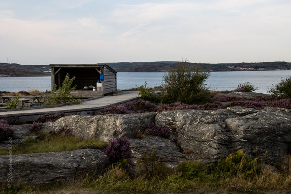 Shelter auf Koøn