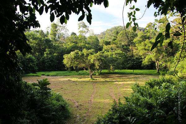 Taman Negara Malaysia Aussichtsplattform / View point