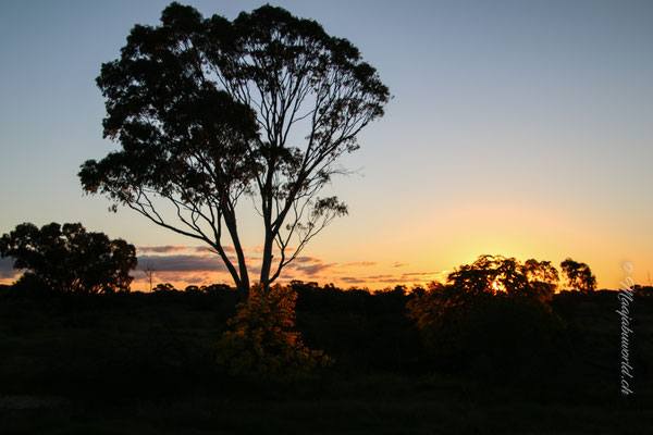 last sunset in Bendigo