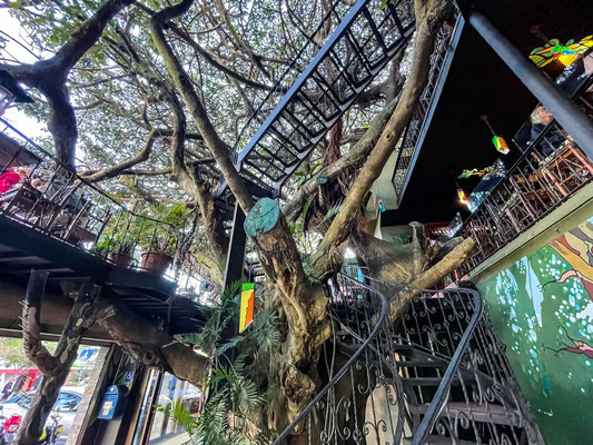 Tree-house-restaurant