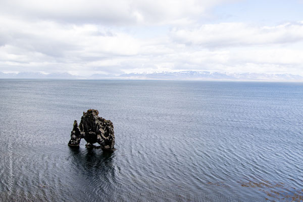 Hvitserkur