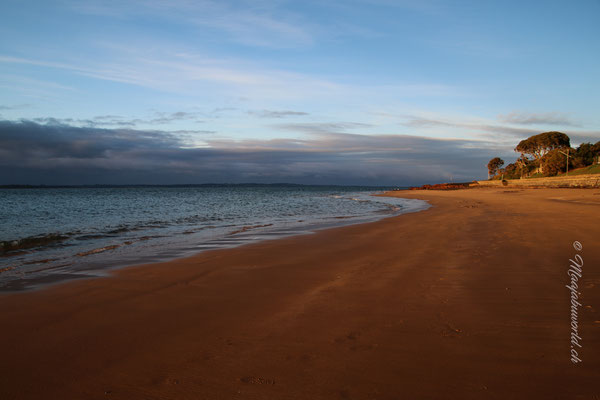 Beach at North Pier Hotel