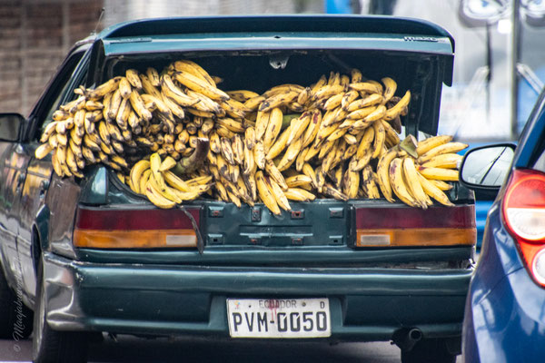 Banana Transport:-)