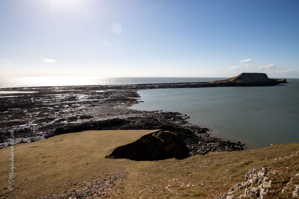 Worms head bei Ebbe | Worms head with low tide