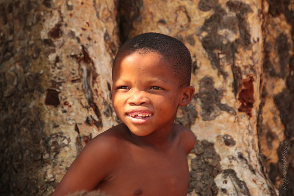 Living Museum of SAN People