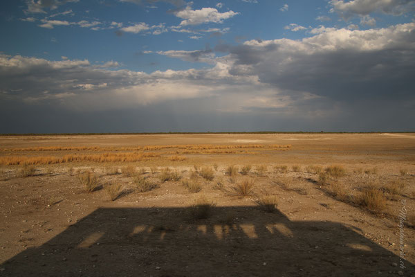 Gamedrive in Etosha