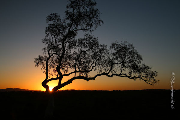 sunset at Karijiini Eco Resort