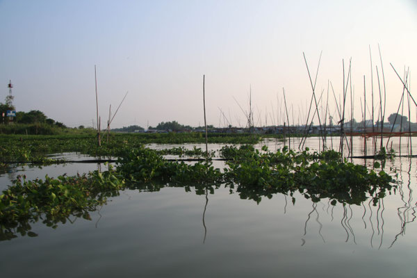 Floating fishing farmes