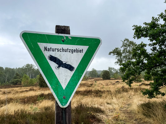 Der Lüneburger Heide Tag ist leider regnerisch. / The Lüneburg Heath day is unfortunately rainy. 