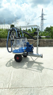Mungitrice a carrello zincato, pompa per vuoto mod. PT1 da 200 litri a 50 kpa, motore elettrico 220V HP1. 2 secchi da 25 litri in macrol numerato, 2 gruppi mung. 150CC 2 pulsatore 60/40, completa.