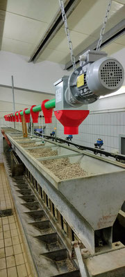 Silos porta-mangime con coclea flessibile