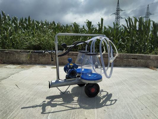 Mungitrice a carrello zincato, pompa per vuoto mod. PT1 da 200 litri a 50 kpa, motore elettrico 220V HP1. Due secchi da 25 litri in macrol numerato, 2 gruppi mung. collettori automatici 1 pulsatore 50/50, completa.