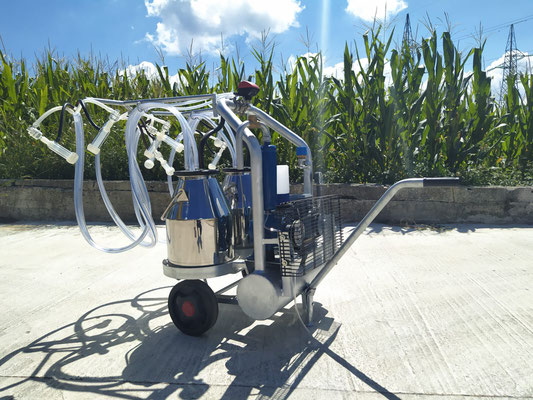 Mungitrice a carrello pesante zincato, pompa per vuoto mod. CPV da 350 a olio a 50 kpa, motore elettrico 220V HP1,5. Due secchi da 25 litri in acciaio inox, 4 gruppi mung. collettori automatici 1 pulsatore 4 vie 50/50, completa.
