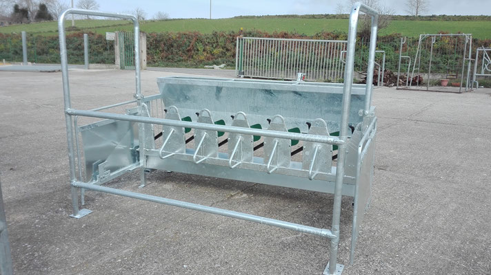 Stallo autocatturante da sei poste sequenziale completo di dosatore per ovicaprini da tassellare su piano, zincato