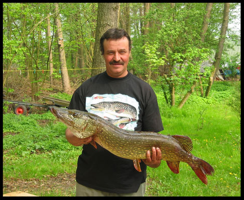 Hecht, 97,5 cm, 8,1 kg, Köder: Plötze, 2004