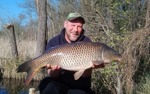 Schuppenkarpfen, 80 cm, 8,5 kg, Köder: Boilie, 2019