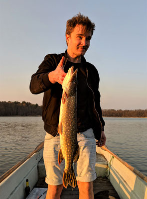 Hecht, 60 cm, Köder: Gummifisch, 2019