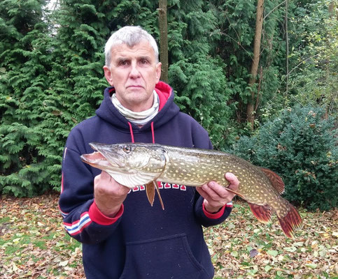 Hecht, 81 cm, 3,2 kg, Köder: Plötze, 2018