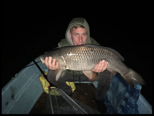 Schuppenkarpfen, 80 cm, 8,5 kg, Köder: Boilie, 2018