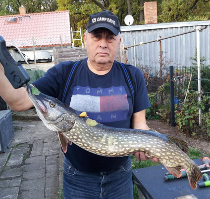 Hecht, 86 cm, 4 kg, Köder: Güster, 2018