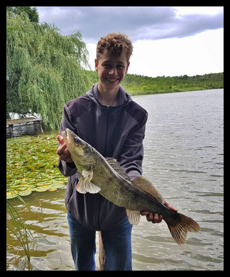 Zander, 66 cm, 2,5 kg, Köder: Plötze, 2020