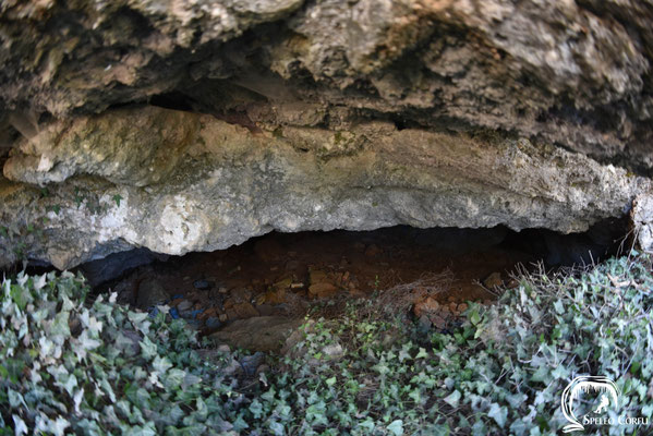 One of the three entrances to the Gravolithia cave.