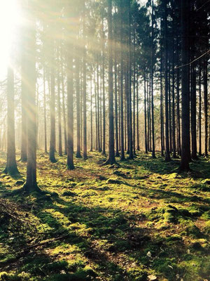 ©Emilie en Wallonie | Photographie | La Wallonie | 