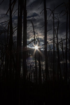 ©Emilie en Wallonie | Photographie | La Wallonie | 