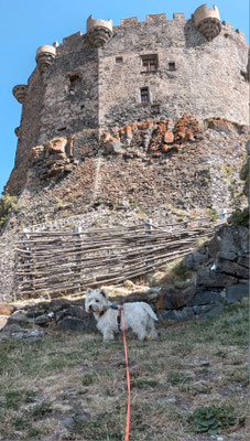 petit chien devant la forteresse de Murol
