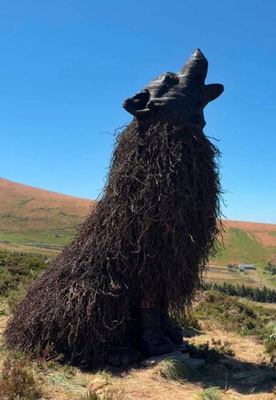 le loup à Chastreix